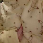 ヒメ日記 2026/02/17 18:25 投稿 れた アムールクリスタル