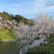 ヒメ日記 2026/04/07 13:33 投稿 みなみ 美少女宅急便