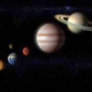 ヒメ日記 2025/01/21 17:08 投稿 胡桃（くるみ） ビッグバード