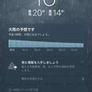 ヒメ日記 2025/04/11 18:34 投稿 胡桃（くるみ） ビッグバード