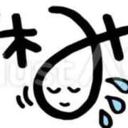 ヒメ日記 2026/01/18 09:34 投稿 胡桃（くるみ） ビッグバード