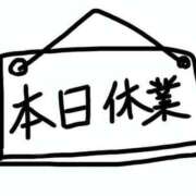 ヒメ日記 2026/07/07 12:08 投稿 胡桃（くるみ） ビッグバード