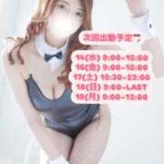 ヒメ日記 2025/05/13 08:30 投稿 めい FORTE