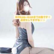 ヒメ日記 2025/05/19 08:29 投稿 めい FORTE