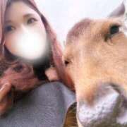 ヒメ日記 2025/06/04 14:39 投稿 めい FORTE