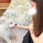 ヒメ日記 2025/06/05 20:12 投稿 めい FORTE