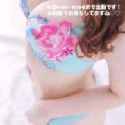 ヒメ日記 2025/06/16 09:39 投稿 めい FORTE