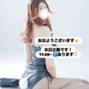 ヒメ日記 2025/09/23 07:49 投稿 めい FORTE