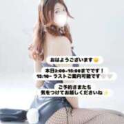 ヒメ日記 2025/11/05 07:56 投稿 めい FORTE