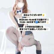 ヒメ日記 2025/11/16 08:19 投稿 めい FORTE