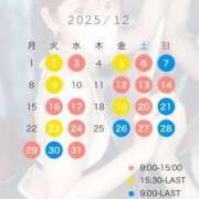 ヒメ日記 2025/11/20 19:59 投稿 めい FORTE