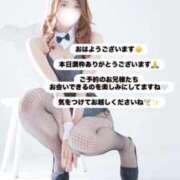 ヒメ日記 2025/12/31 08:09 投稿 めい FORTE