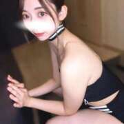 ヒメ日記 2026/02/16 20:19 投稿 めい FORTE