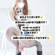 ヒメ日記 2026/02/22 08:21 投稿 めい FORTE