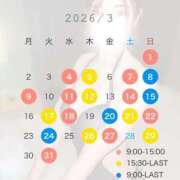 ヒメ日記 2026/02/24 15:29 投稿 めい FORTE