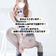 ヒメ日記 2026/03/20 08:11 投稿 めい FORTE