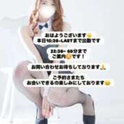 ヒメ日記 2026/03/29 08:39 投稿 めい FORTE