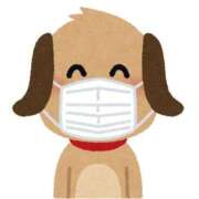 ひめ 約束したのに 池袋手コキパラダイス　見習い天使とイタズラ小悪魔