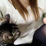 ヒメ日記 2025/02/05 17:20 投稿 るりな 即トク奥さん