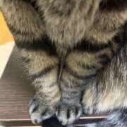 ヒメ日記 2025/02/18 06:20 投稿 るりな 即トク奥さん