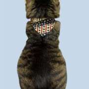 ヒメ日記 2025/04/14 05:20 投稿 るりな 即トク奥さん