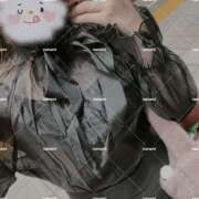 ヒメ日記 2025/04/21 20:05 投稿 ななみ One More 奥様 鶯谷店