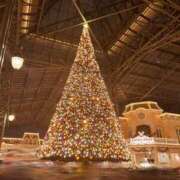 ヒメ日記 2024/12/20 13:54 投稿 あま 鹿児島ちゃんこ 薩摩川内店