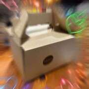 ヒメ日記 2025/02/15 21:11 投稿 あま 鹿児島ちゃんこ 薩摩川内店