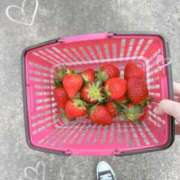 ヒメ日記 2025/02/19 21:34 投稿 あま 鹿児島ちゃんこ 薩摩川内店