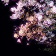 ヒメ日記 2025/04/09 09:40 投稿 あま 鹿児島ちゃんこ 薩摩川内店