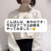 ヒメ日記 2024/12/30 20:43 投稿 あやの 贅沢なひと時