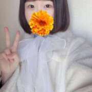 ヒメ日記 2025/03/01 12:26 投稿 あやの 贅沢なひと時