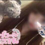 ヒメ日記 2025/01/07 12:56 投稿 ひまり 丸妻 新横浜店