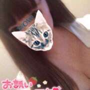 ヒメ日記 2025/02/16 15:34 投稿 ひまり 丸妻 新横浜店