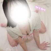 ヒメ日記 2025/09/15 02:44 投稿 トア secretgirl大阪