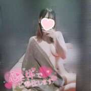 ヒメ日記 2025/04/14 14:54 投稿 藤原みなみ ブルーバード