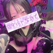 ヒメ日記 2026/02/08 18:37 投稿 愛染ゆずき＠一騎当千のアナリスト アナラードライ