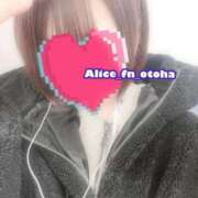 ヒメ日記 2025/02/09 16:02 投稿 おとは 究極の素人専門店Alice-アリス-