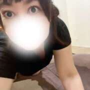 ヒメ日記 2025/10/08 17:03 投稿 伊瀬くろこ 麗しいマダム