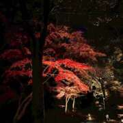 谷地ひとか ※無題 麗しいマダム