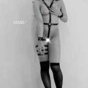 ヒメ日記 2025/01/15 16:48 投稿 はる クラブレア南大阪