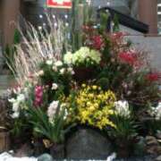 ヒメ日記 2026/01/05 13:27 投稿 早瀬なつみ 大阪ぽっちゃり妻