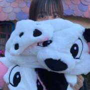 ヒメ日記 2025/11/30 16:52 投稿 ひまり ジャパンクラブ富士