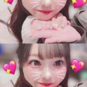 ヒメ日記 2026/03/28 07:22 投稿 ひまり ジャパンクラブ富士