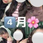 ヒメ日記 2026/04/01 23:02 投稿 ひまり ジャパンクラブ富士