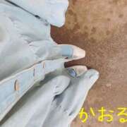 ヒメ日記 2025/04/03 16:08 投稿 かおるちゃん ちょい！ぽちゃロリ倶楽部Hip's馬橋店