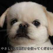 ヒメ日記 2025/04/04 17:28 投稿 かおるちゃん ちょい！ぽちゃロリ倶楽部Hip's馬橋店