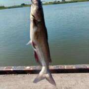 ヒメ日記 2025/10/10 15:13 投稿 月永（つきなが） 丸妻 錦糸町店