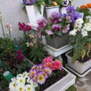 ヒメ日記 2026/03/08 19:35 投稿 月永（つきなが） 丸妻 錦糸町店