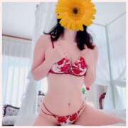 ヒメ日記 2024/12/27 21:54 投稿 おとは 厚木人妻城